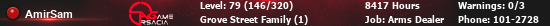 amirsam.png